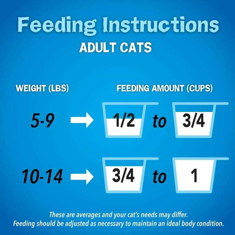Seafood Dry Cat Food N77646