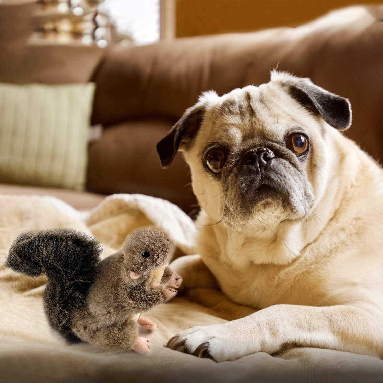 Squirrel Plush Toys for Pets J57027