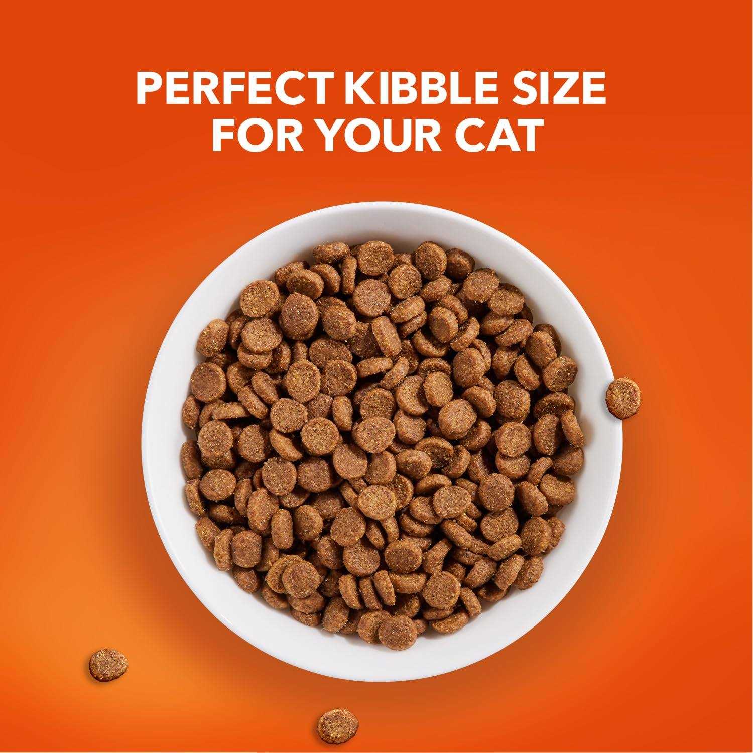 Senior Dry Cat Food I997042
