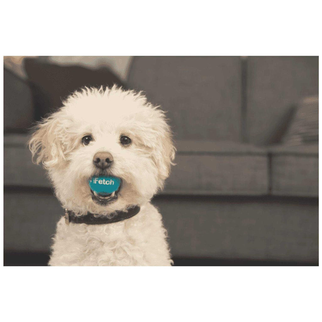 Interactive Dog Ball Launcher G357597