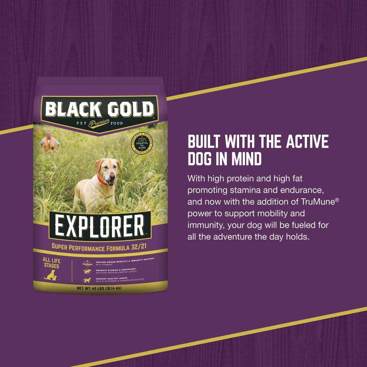 Dry Dog Food for Adult Dogs O27765