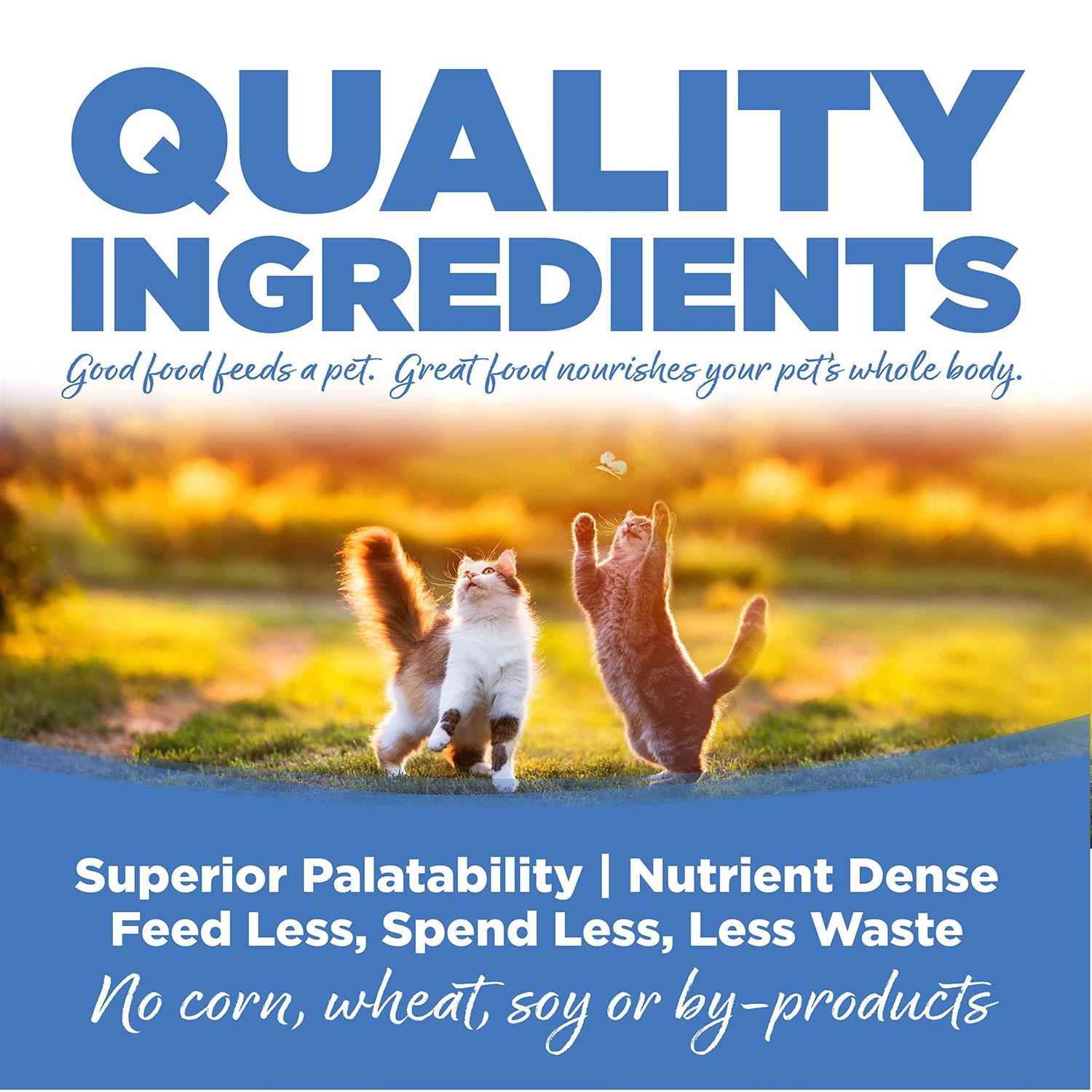 Chicken Salmon Liver Dry Cat & Kitten Food F200