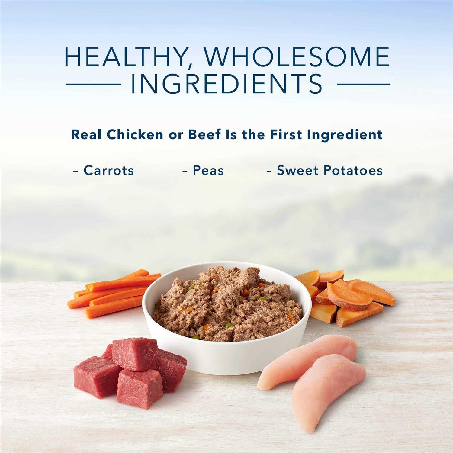 Homestyle Recipe Variety Pack Wet Dog Food W63455