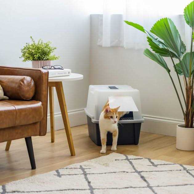 Large Hooded Litter Box C6622