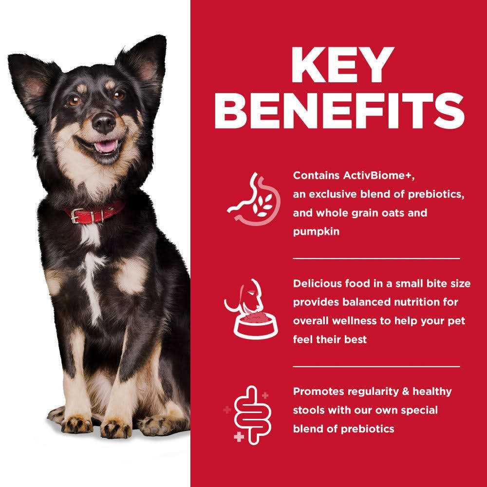 Adult Small Bites Chicken Dry Dog Food G379