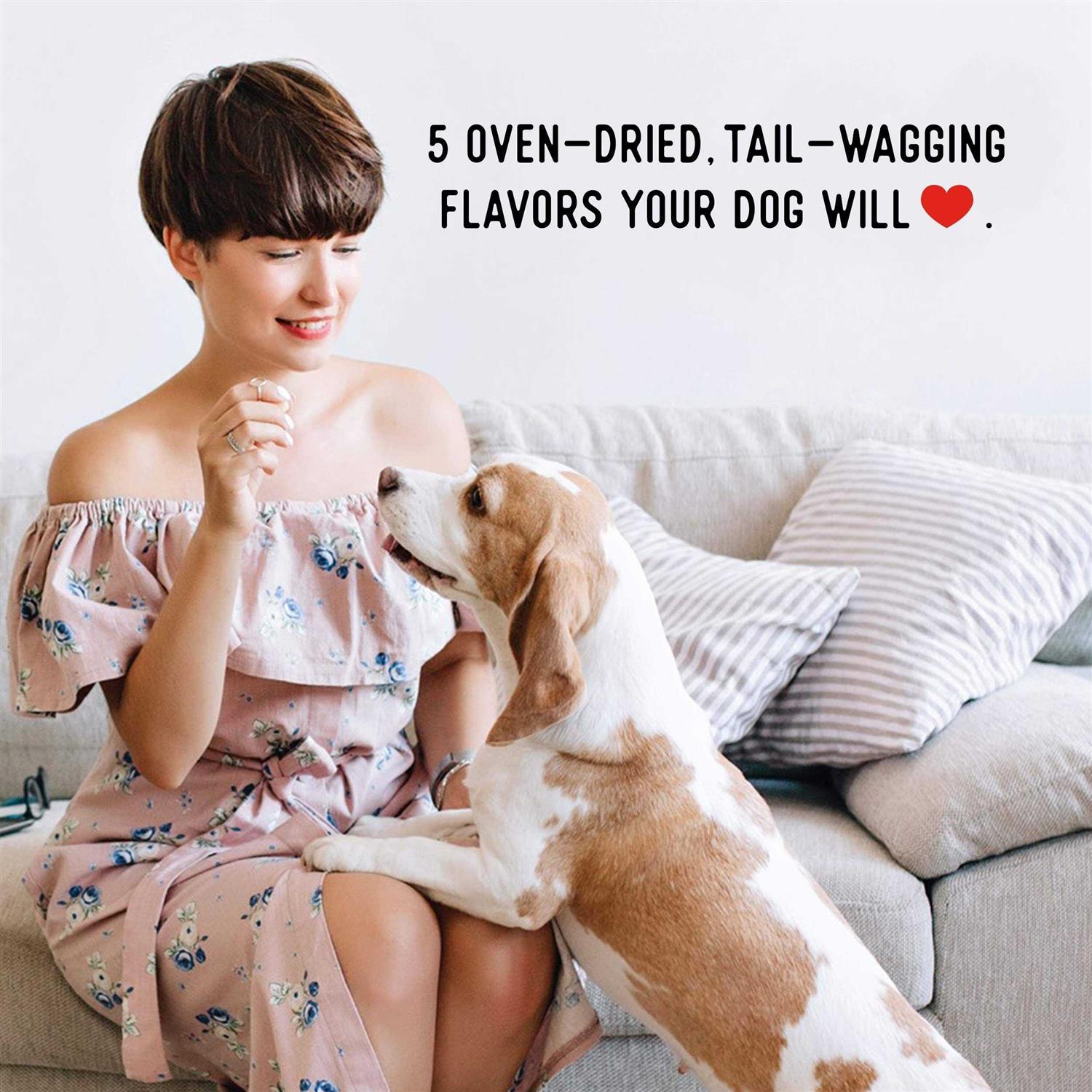 Variety Jerky Treats for Dogs I7968