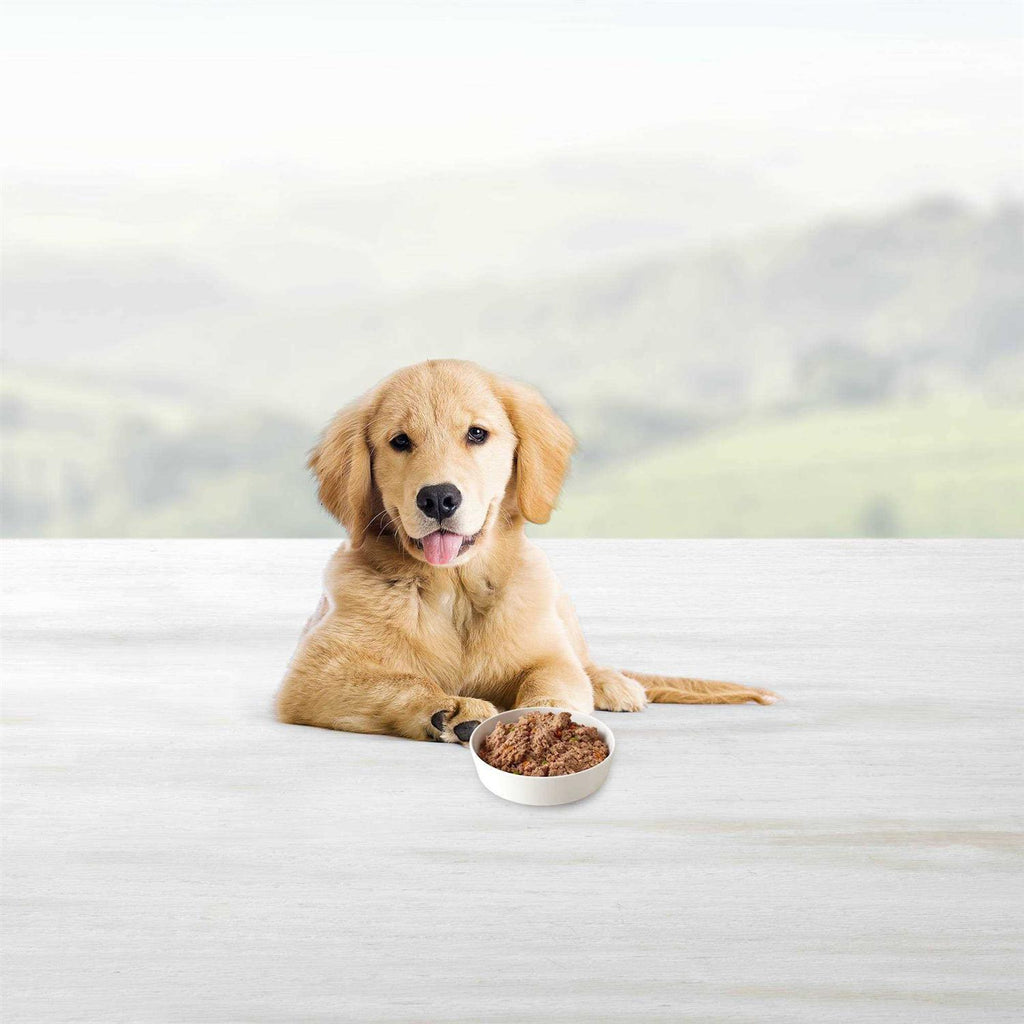 Puppy Chicken Dinner Wet Dog Food D57509