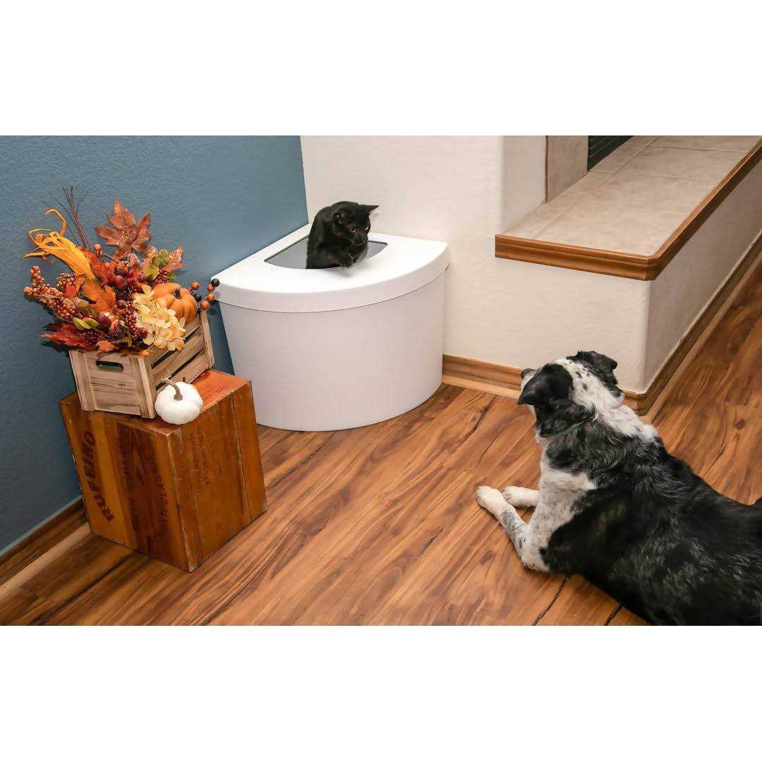 Litter Box Kit H789871
