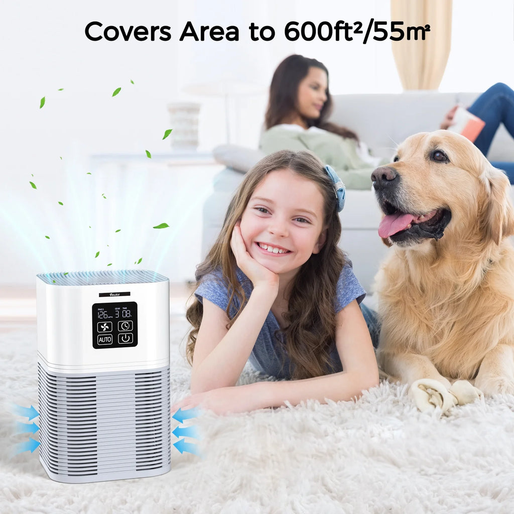 Air Purifier for Large Room with H13 True HEPA Filter I1939