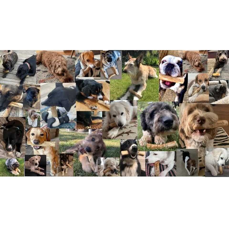 Coffee Wood Dog Chew Toys for Strong Chewers K507997