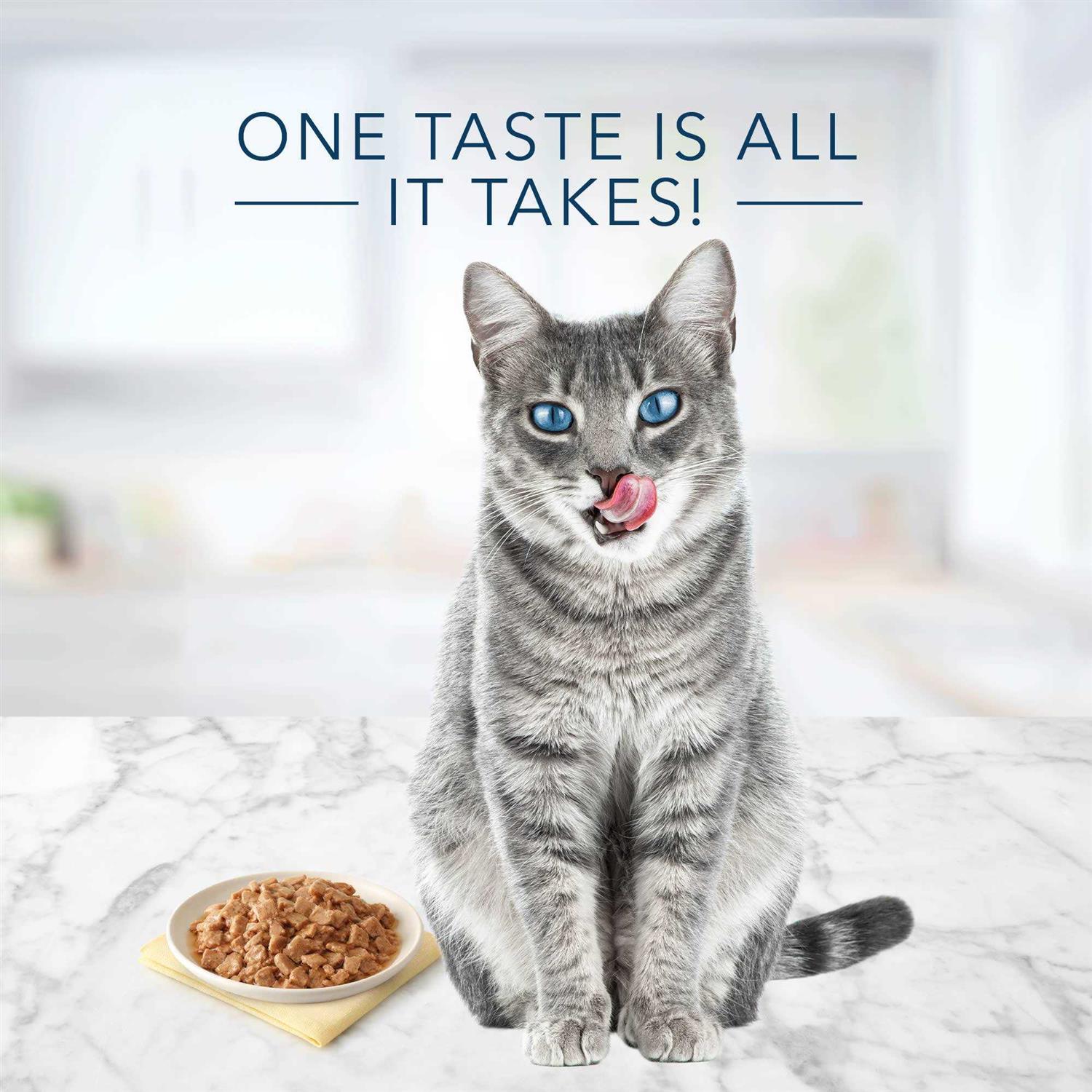 Wet Cat Food Flaked Variety Pack A29762