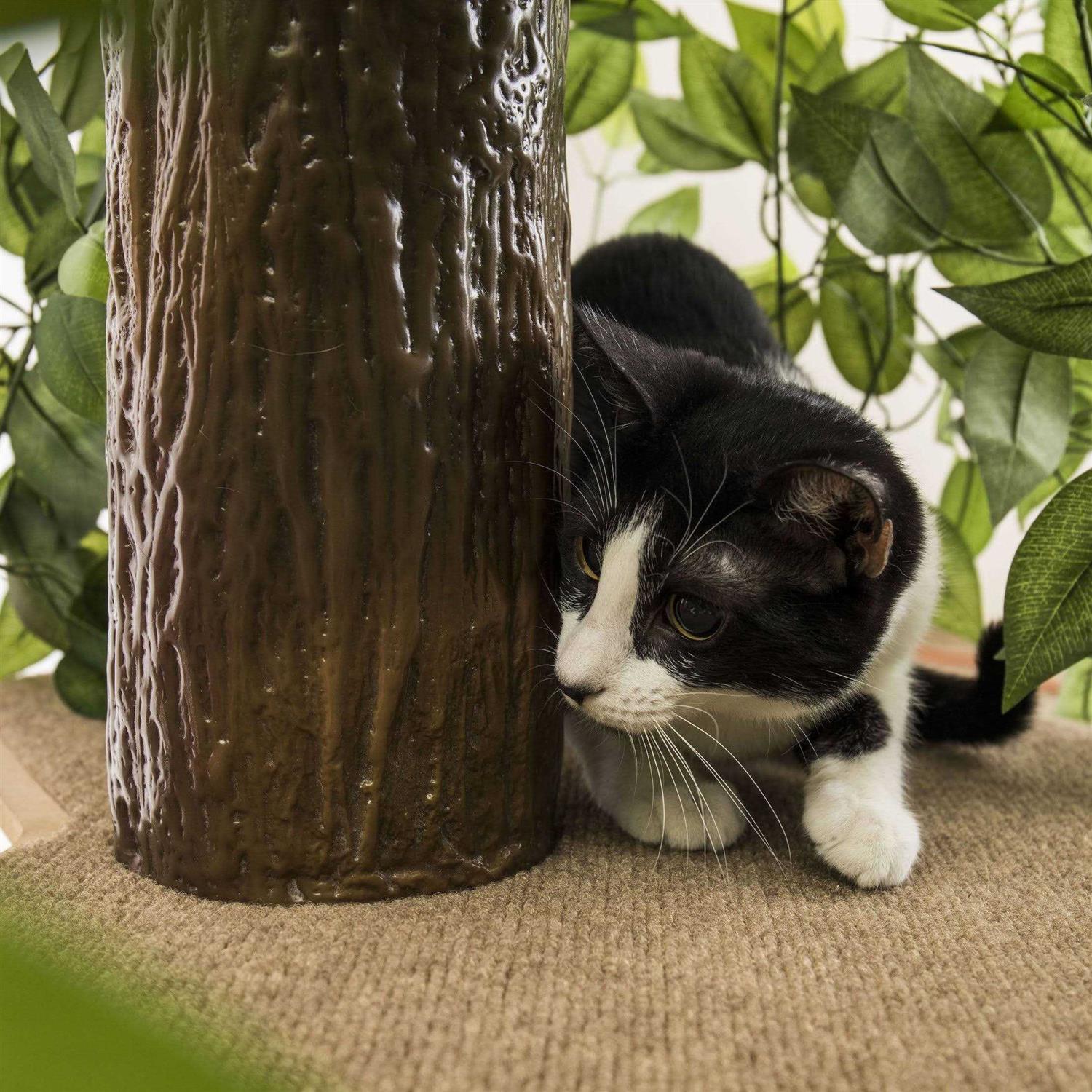 Cat Activity Tree Indoor Cat Tower O8168