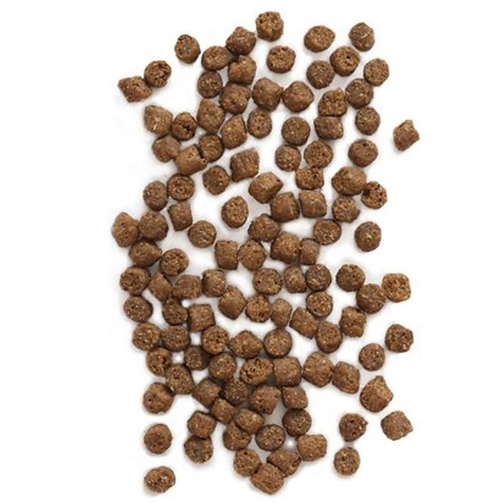 Wild Sea Catch Cat Food E331