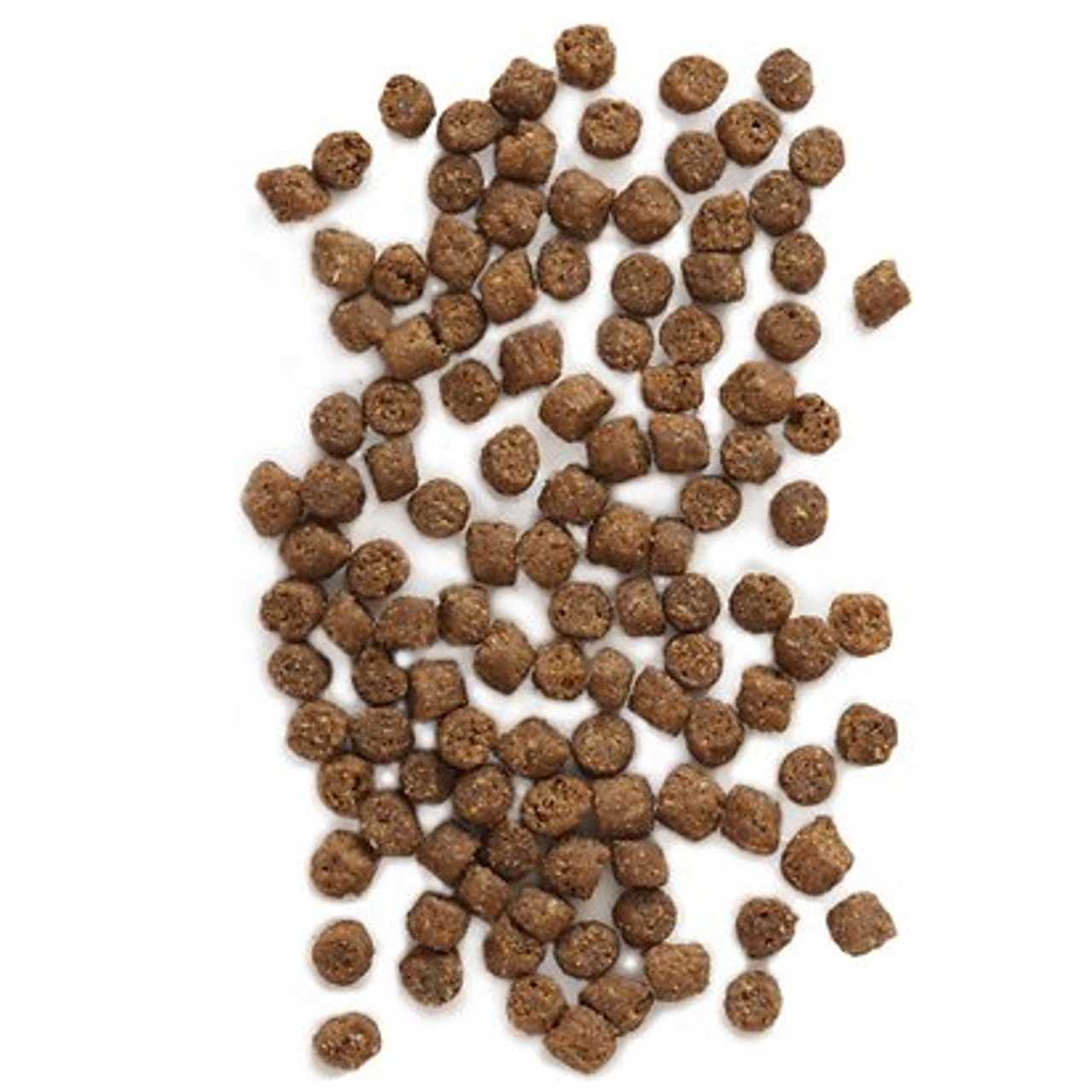 Wild Sea Catch Cat Food E331
