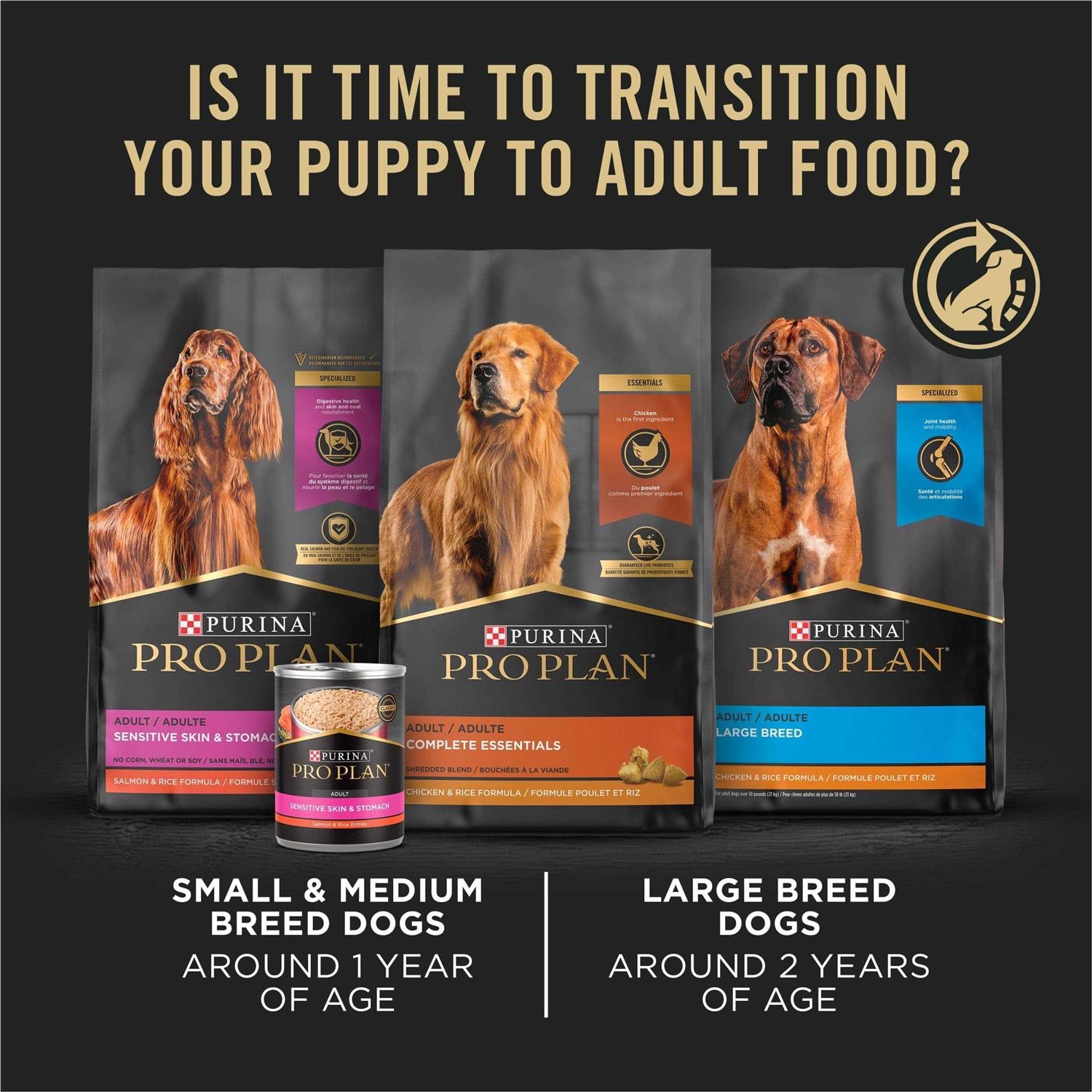 Sensitive Skin & Stomach Dry Puppy Food C898798
