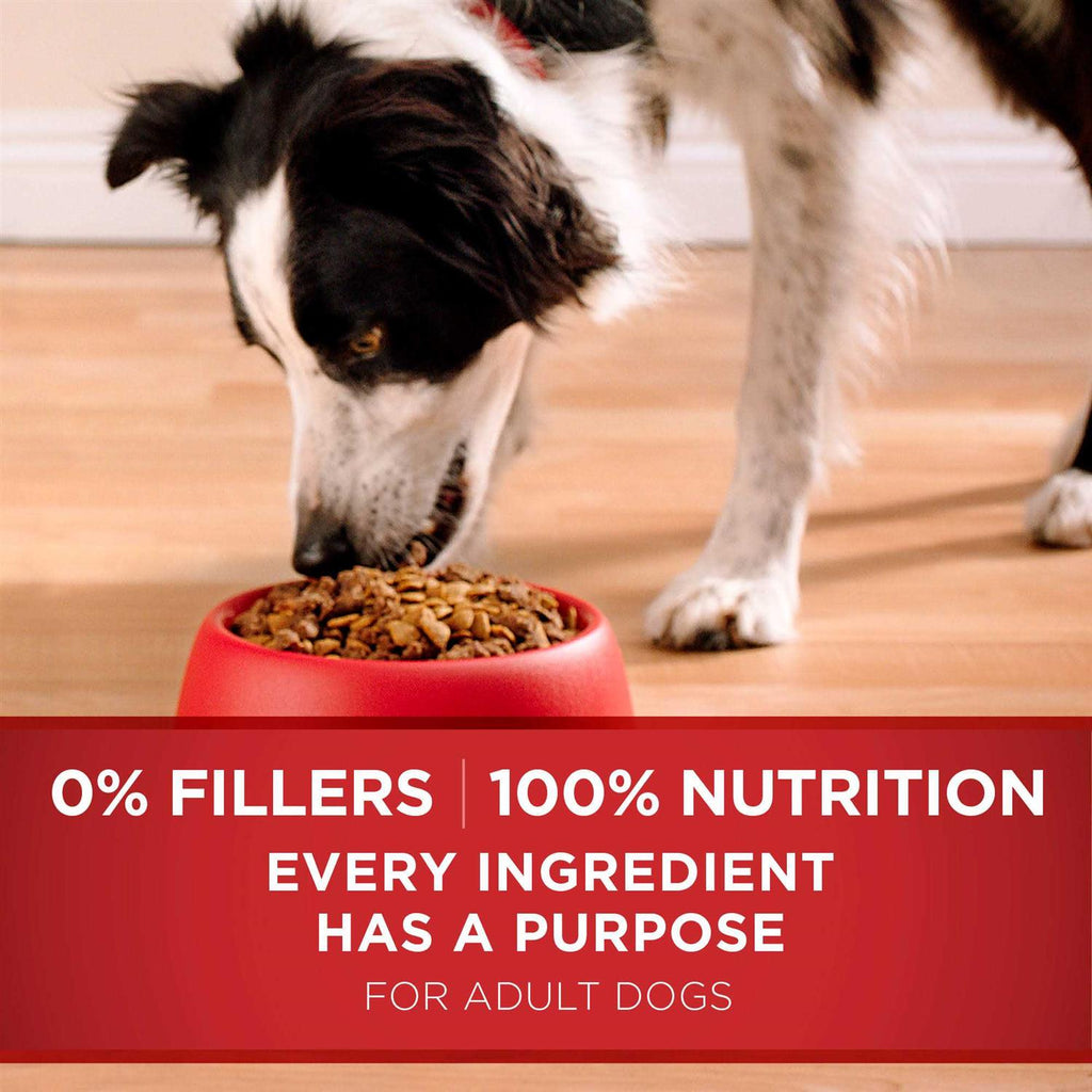 Lamb & Rice Dry Dog Food H672