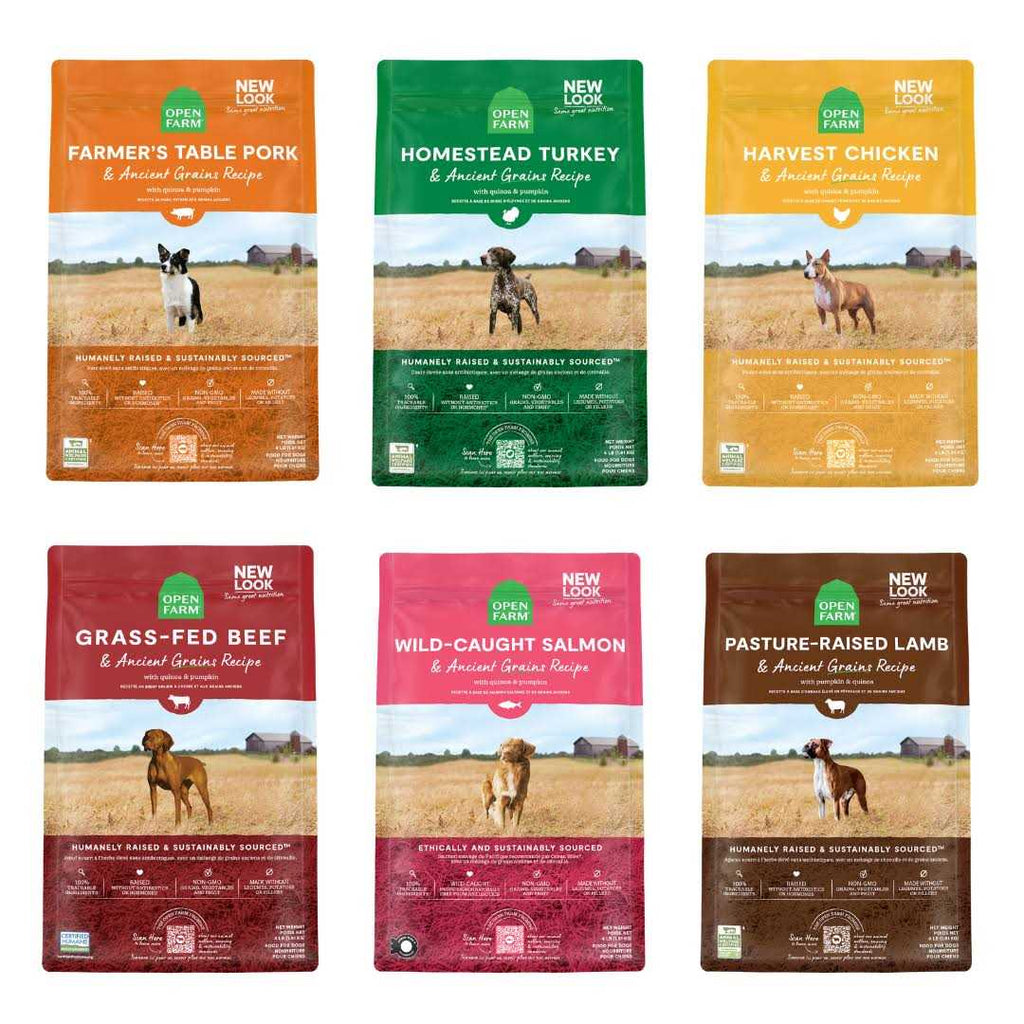 Homestead Turkey Ancient Grains Dry Dog Food O789
