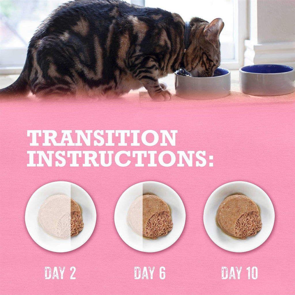 Wild Salmon Recipe Grain Free Wet Cat Food Pate W599