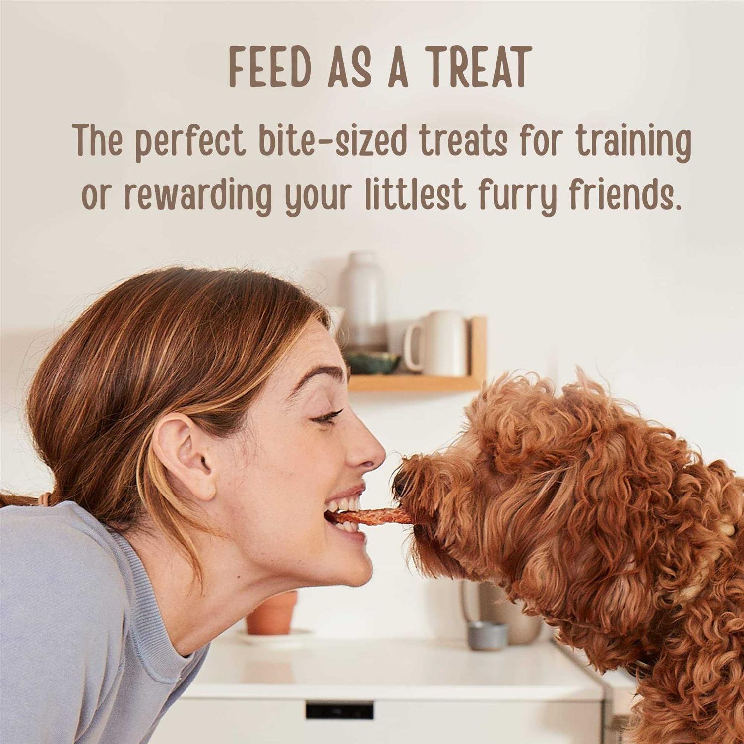 Chicken Recipe Dog Treats P7099