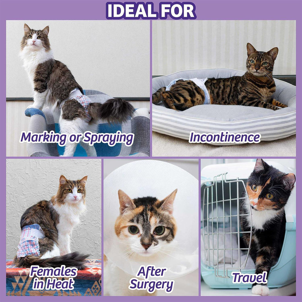 Disposable Cat Diapers N536