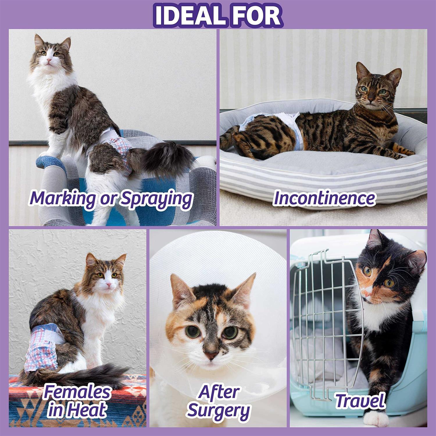 Disposable Cat Diapers N536