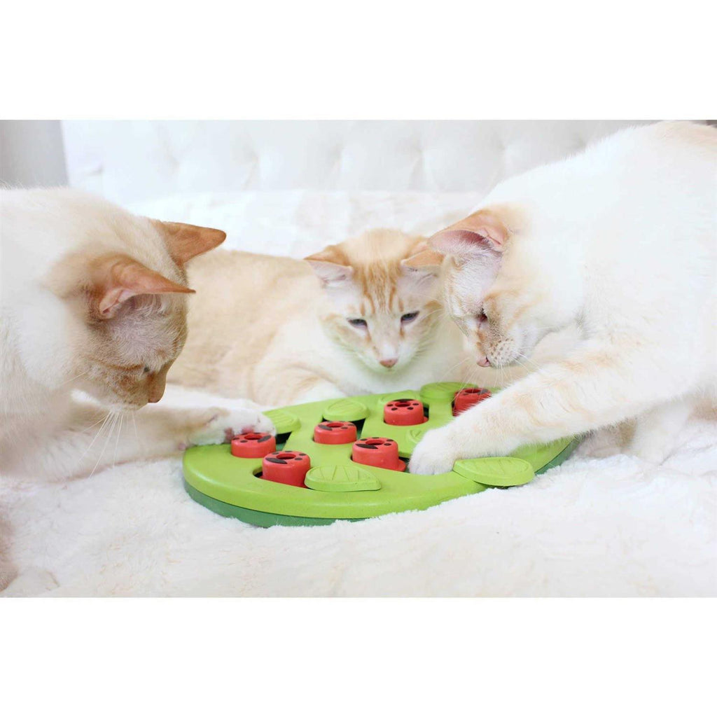 Cat Puzzle Play Toy S413444