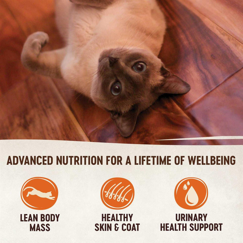 Natural Grain Free Indoor Chicken & Chicken Liver Pate Wet Cat Food C32587