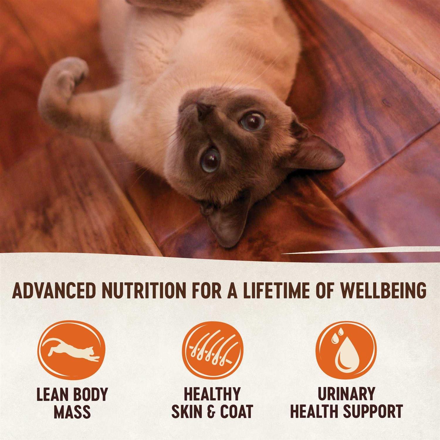 Natural Grain Free Indoor Chicken & Chicken Liver Pate Wet Cat Food C32587