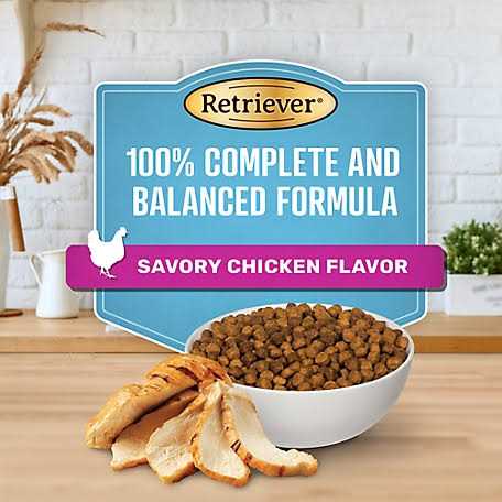 Savory Chicken Flavor Dry Dog Food for Puppies V764289