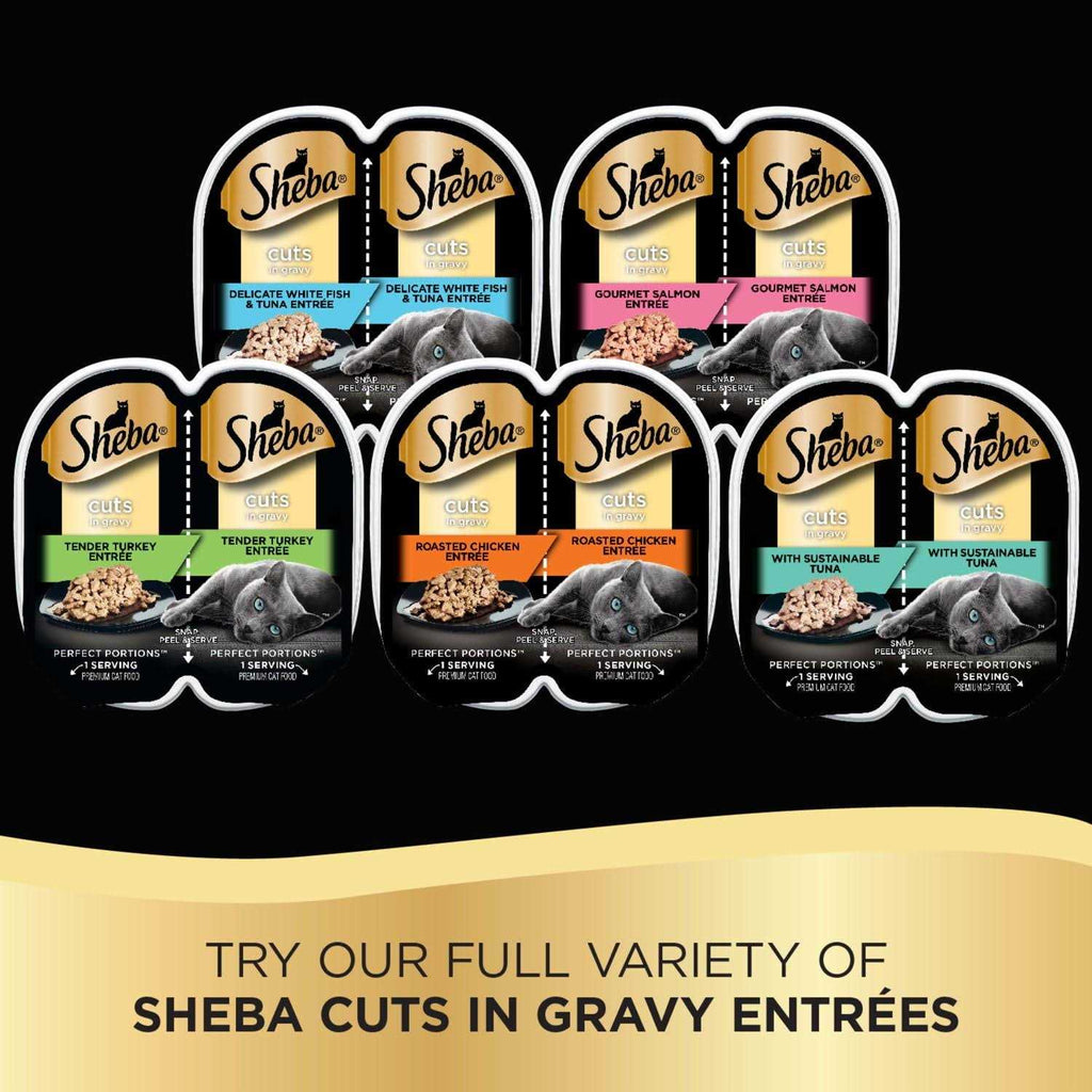 Cuts in Gravy Cat Food Portions I63819
