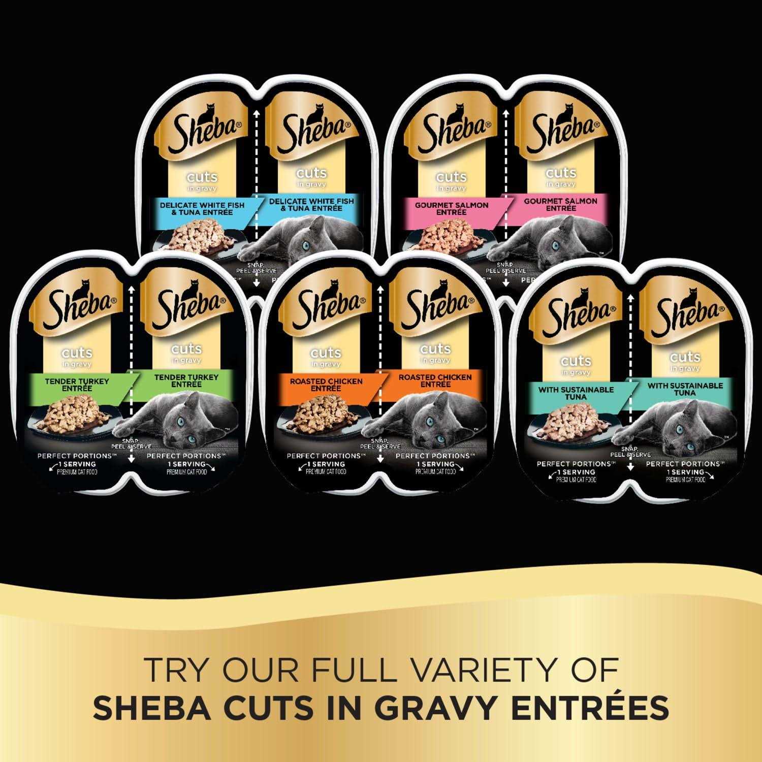 Cuts in Gravy Cat Food Portions I63819