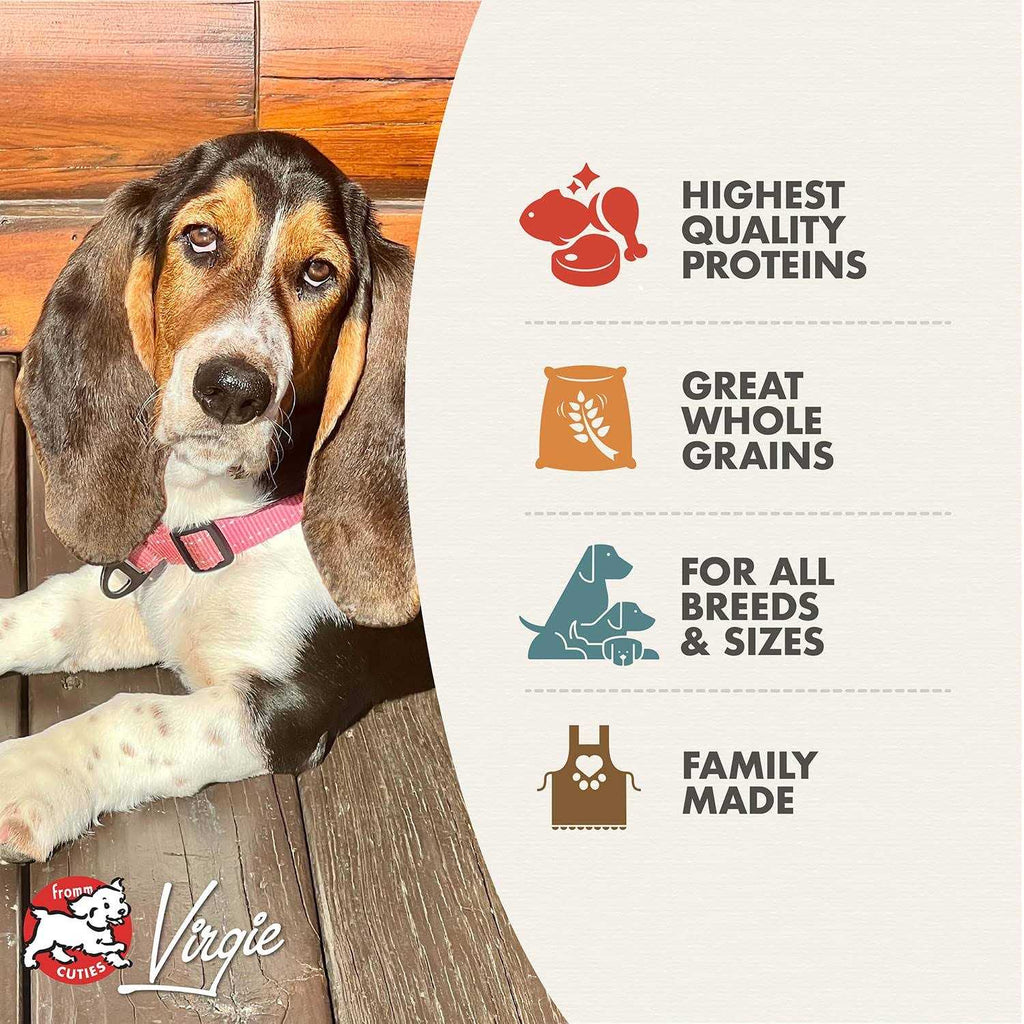 Adult Gold Dry Dog Food I5681