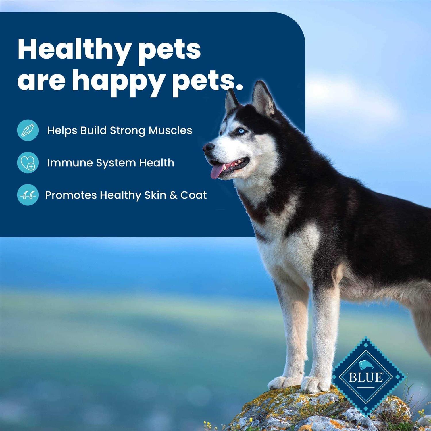 Adult Dry Dog Food Beef & Brown Rice S2287