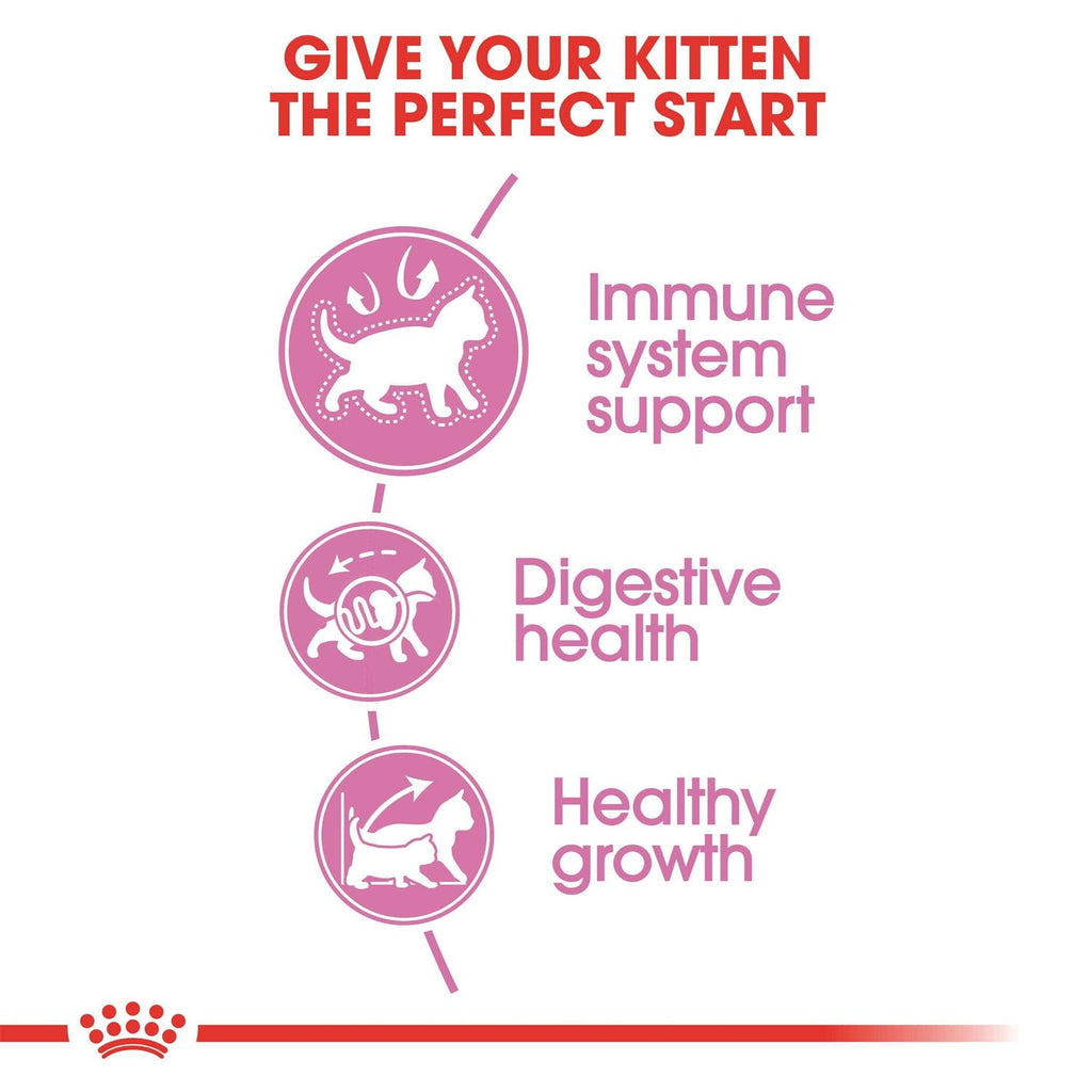 Kitten Dry Cat Food Z87003