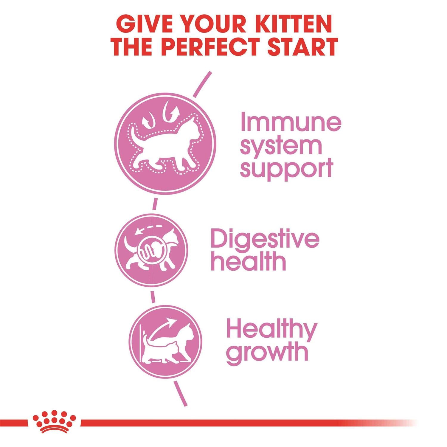 Kitten Dry Cat Food Z87003