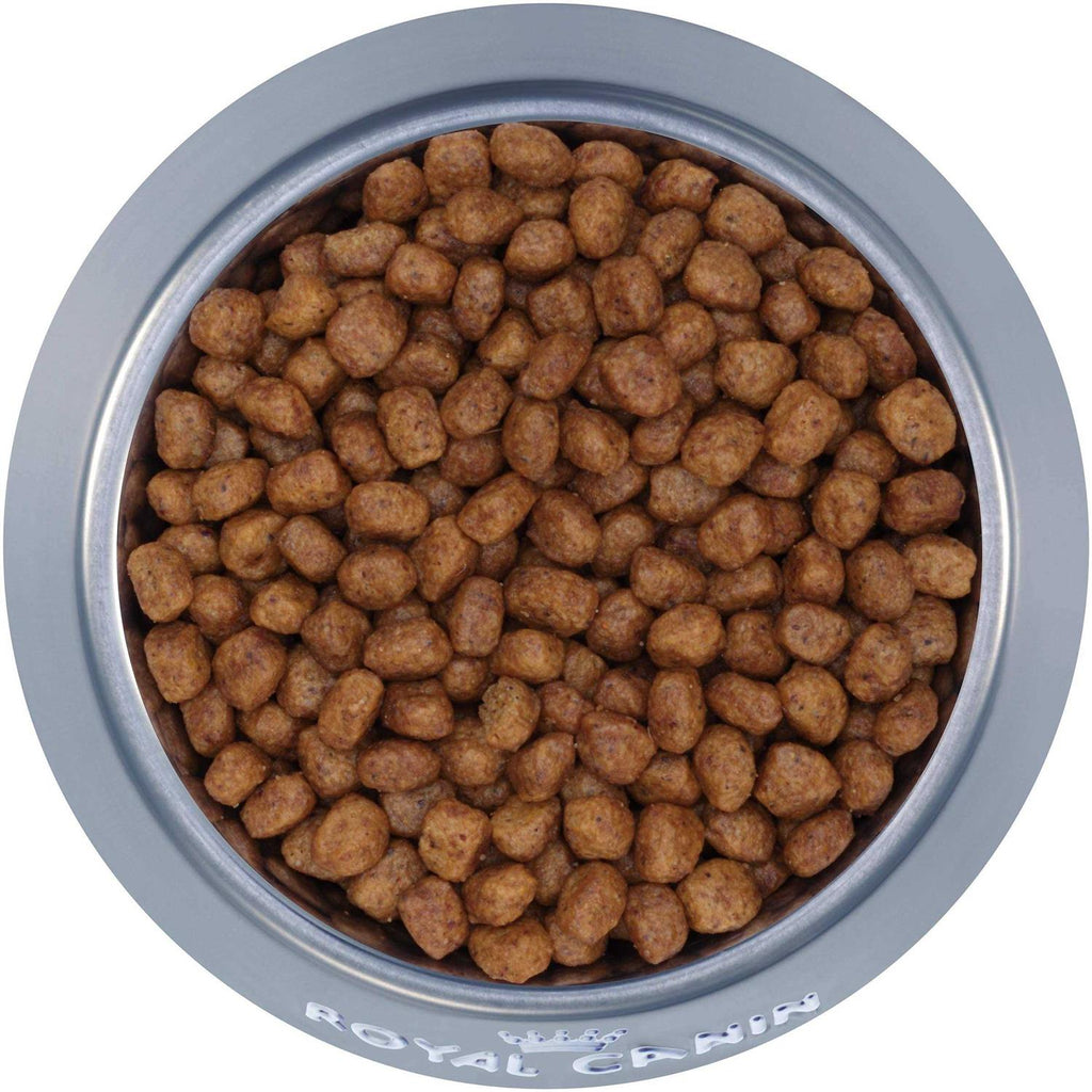 Chihuahua Adult Dry Dog Food X196734