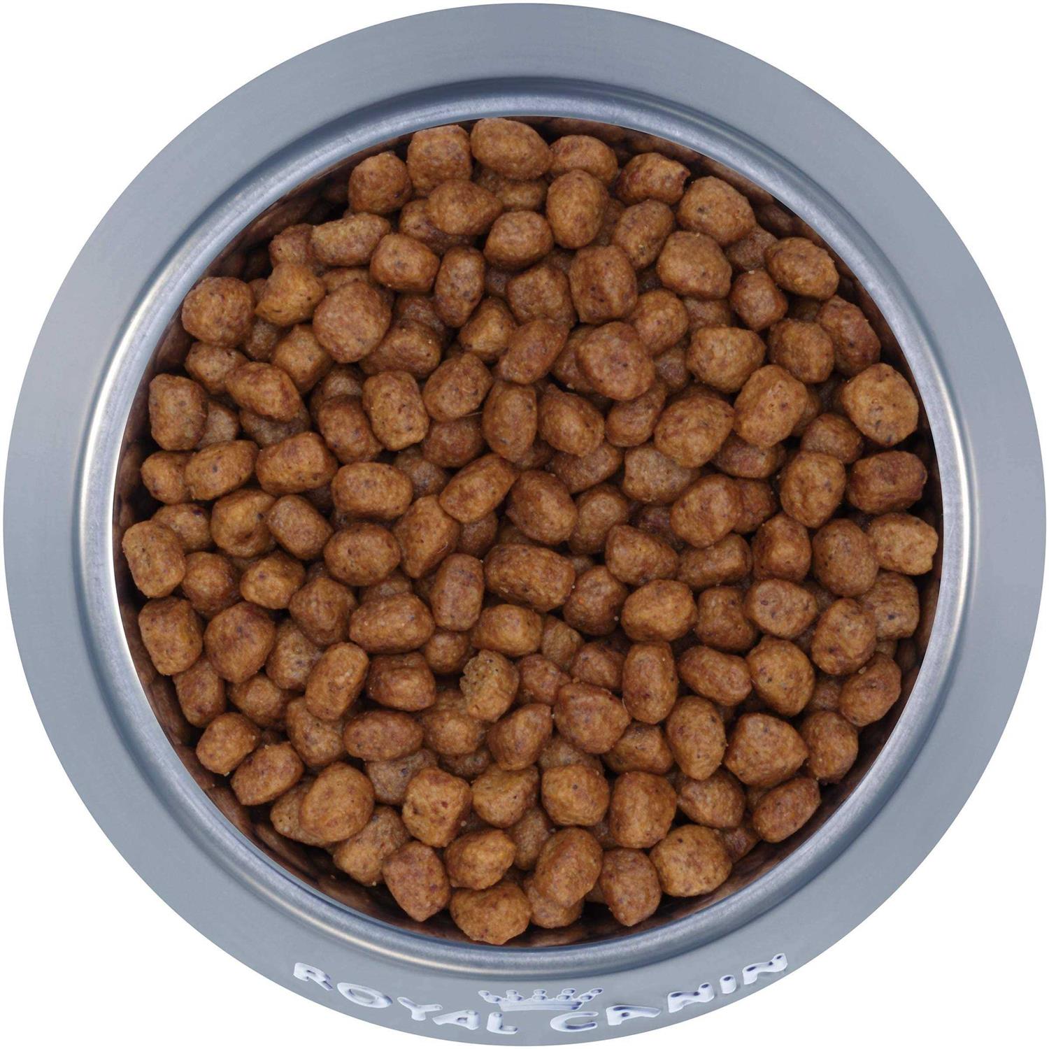 Chihuahua Adult Dry Dog Food X196734