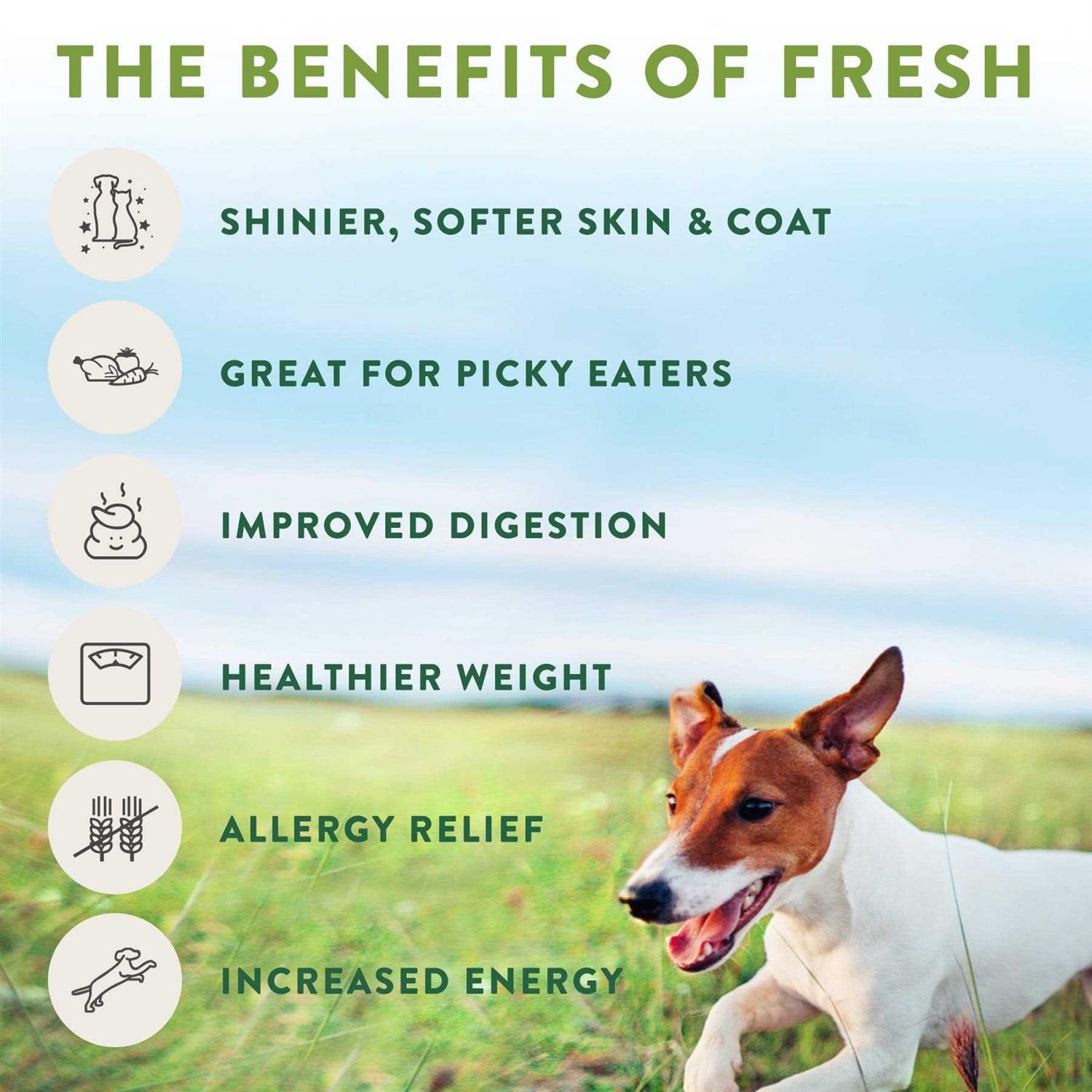 Tender Chicken Recipe Dog Food V617803