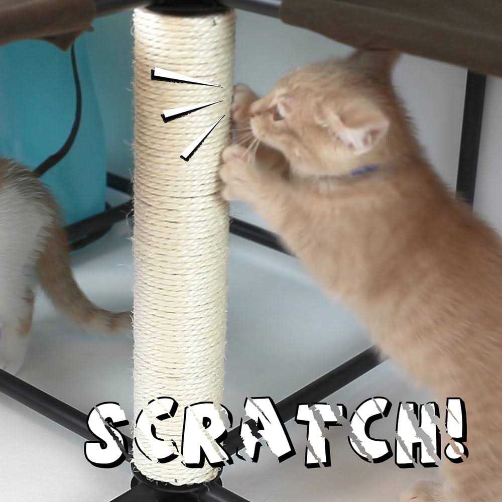 Cat Furniture with Scratching Posts G4237
