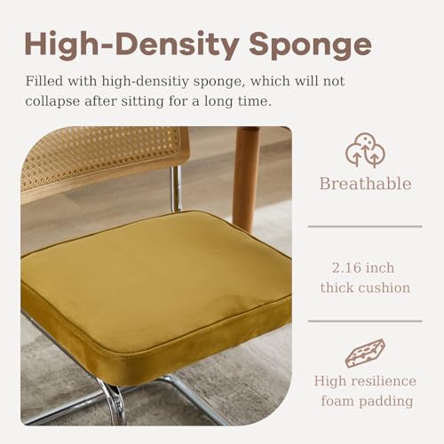 Velvet Dining Chair Set of 2 with Cane Back N6431