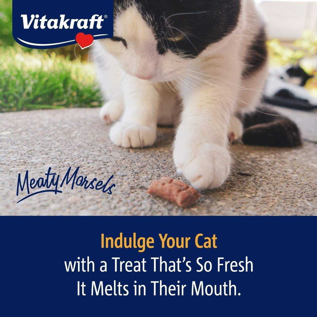 Cat Treat Meaty Morsels Chicken Salmon W604982