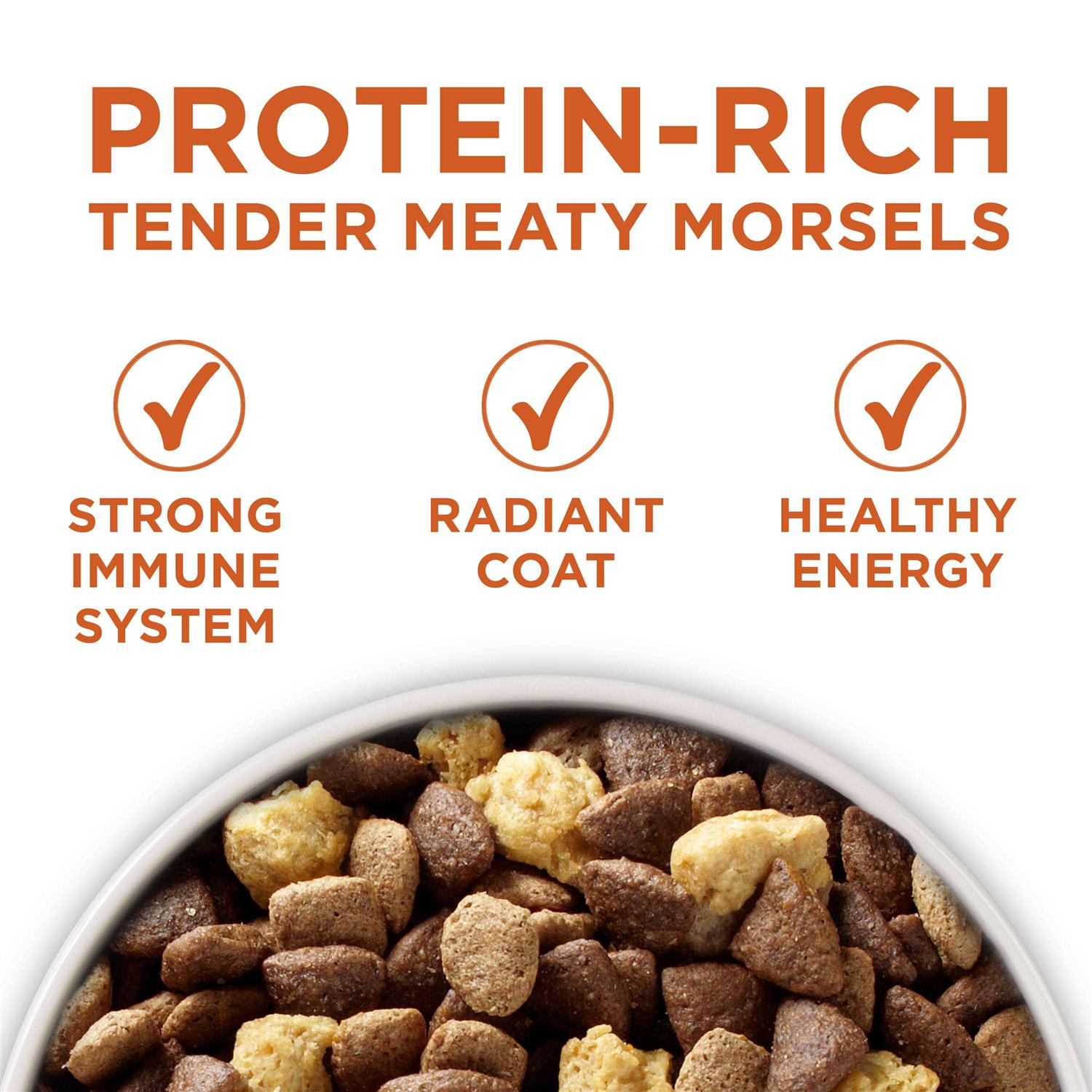 Healthy Weight High Protein Dry Dog Food L314
