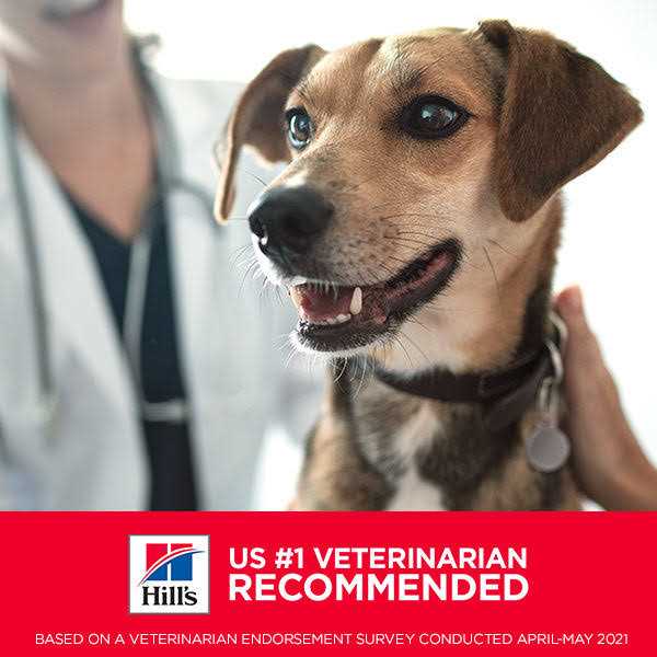 Sensitive Stomach & Skin Small Bites Dry Dog Food A141869