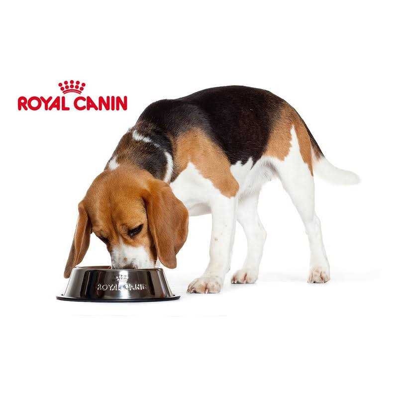 Yorkshire Terrier Adult Loaf in Sauce Dog Food S430