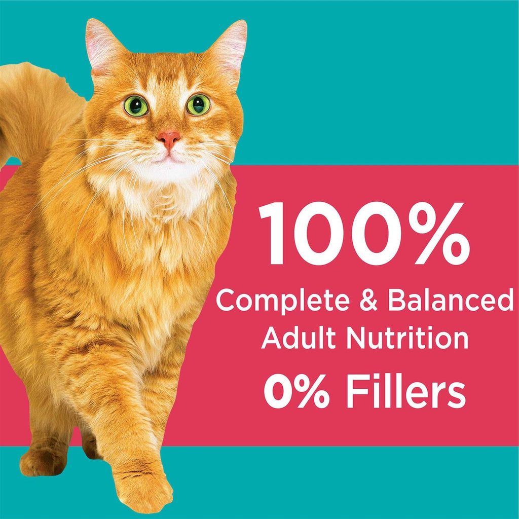 Adult Dry Cat Food with Salmon I7388