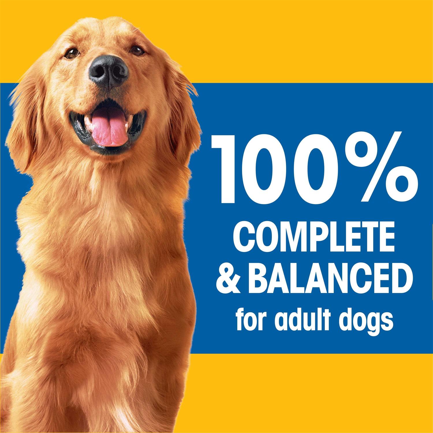 Adult Dry Dog Food N1061