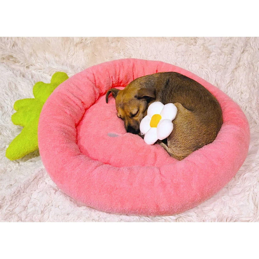 Soft Plush Small Cozy Dog Cat Bed, Washer and Dryer Friendly M6336