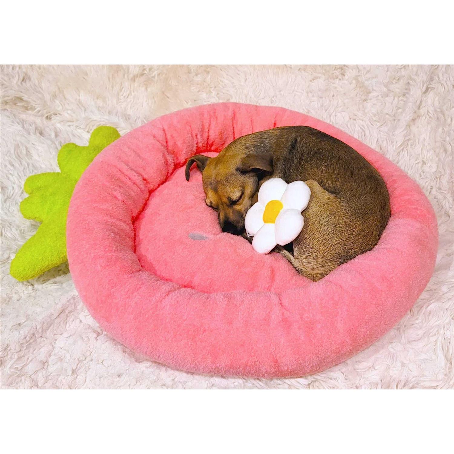 Soft Plush Small Cozy Dog Cat Bed, Washer and Dryer Friendly M6336