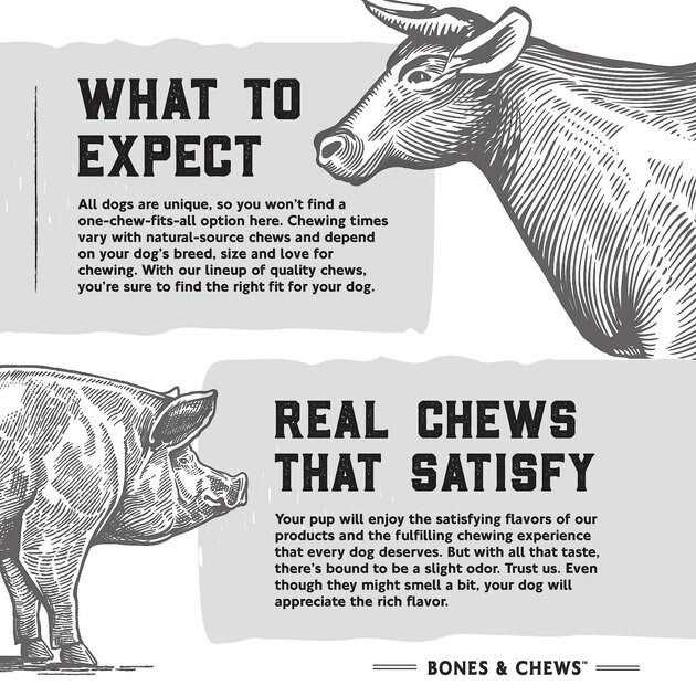 Elk Antler Dog Chew for Pets T89153