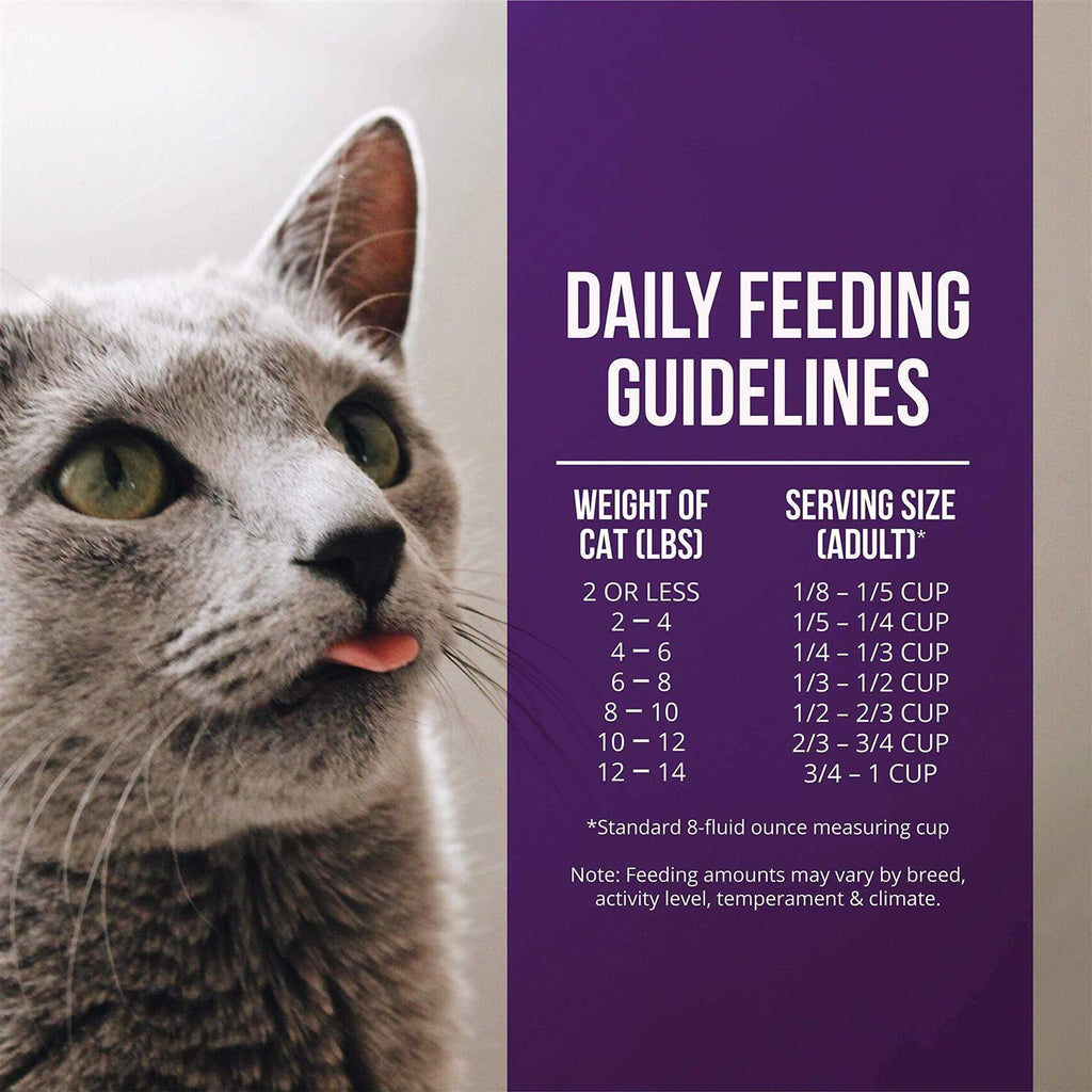 Quail & Duck Meal Dry Cat Food F535807